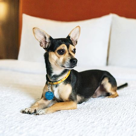 Hampton Inn Lexington South Bagian luar foto